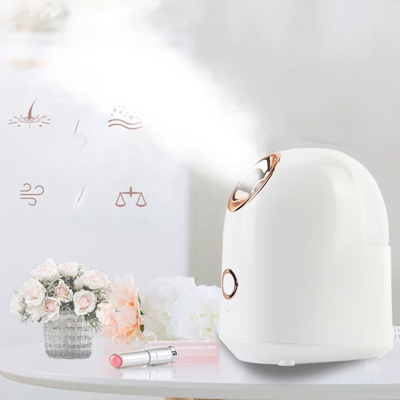 Thermal Spray Facial Steamer Beauty Instrument Ion Moisturizing And Hydrating Spray Apparatus