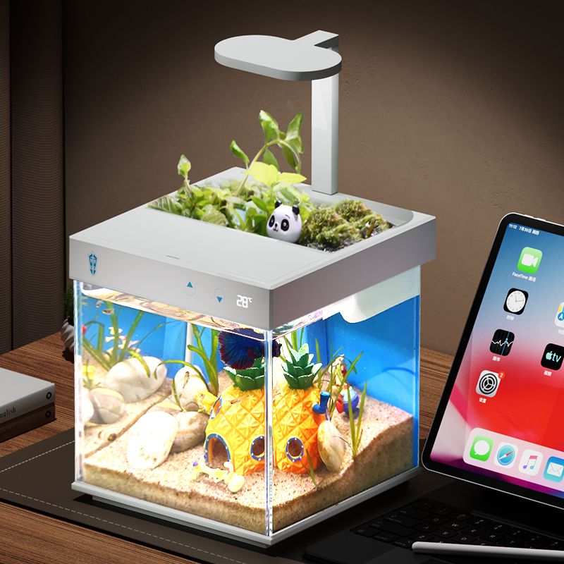 Eco-Friendly Clear Glass Micro Aqua Display Cabinet Fish Tank Aquarium for Office Decor