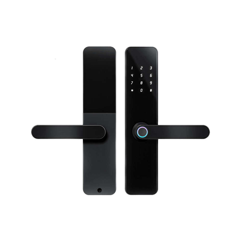 Wooden door lock, fingerprint lock and graffiti smart lock TUYA B&B rental password lock