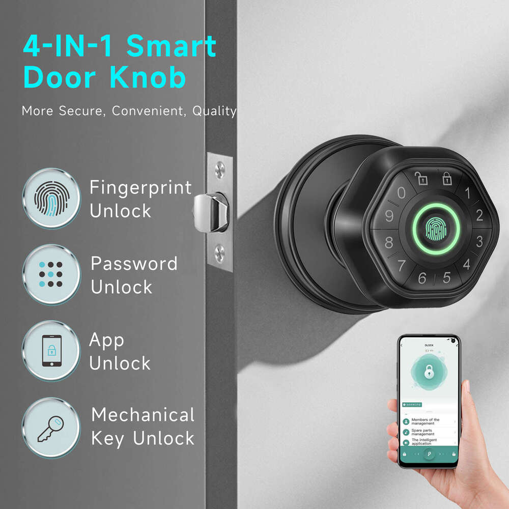 Spherical lock indoor wooden door bedroom office apartment password lock American graffiti APP fingerprint lock