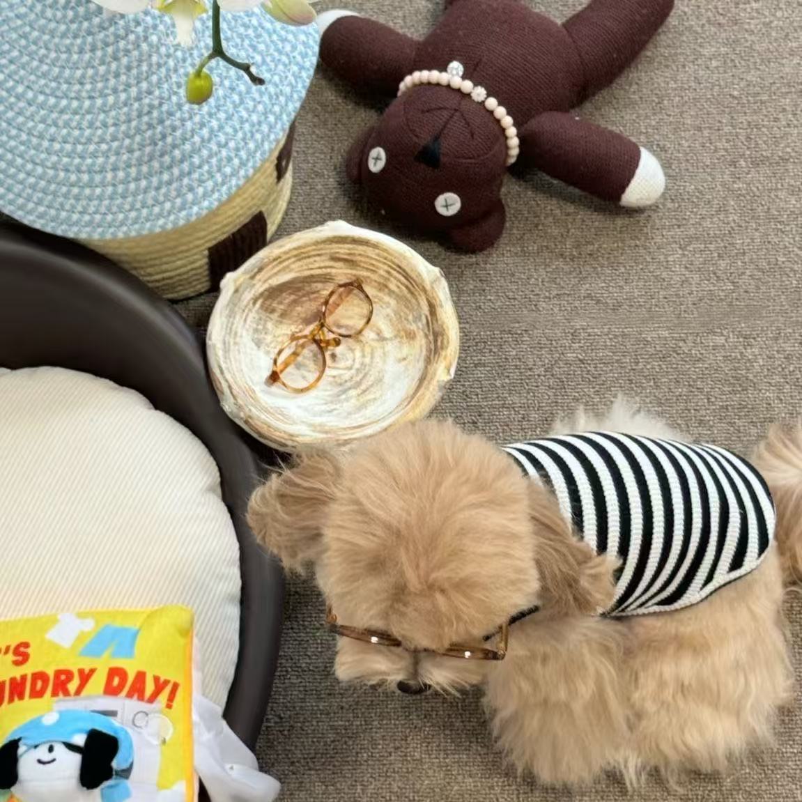 T00209 Pet Clothing Dog Striped Vest Cat Sleeveless Cute Top Teddy Bichon Yorkshire Terrier Anti-shedding Clothes