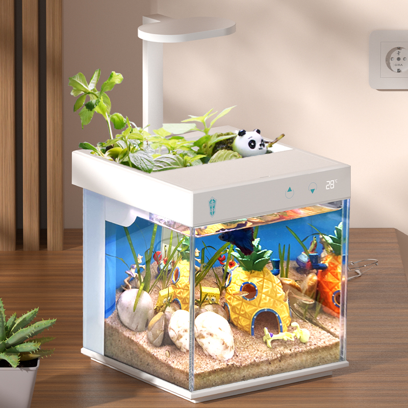 Eco-Friendly Clear Glass Micro Aqua Display Cabinet Fish Tank Aquarium for Office Decor