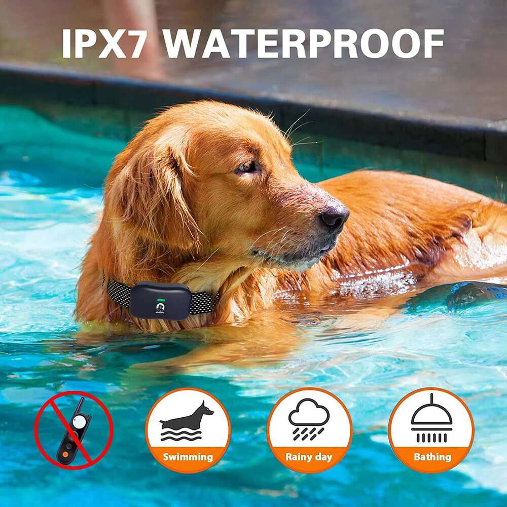 mimofpet brand 1800 meters 6000 feet training antibarking device electronic fence 2 in 1 wireless smart dog collar