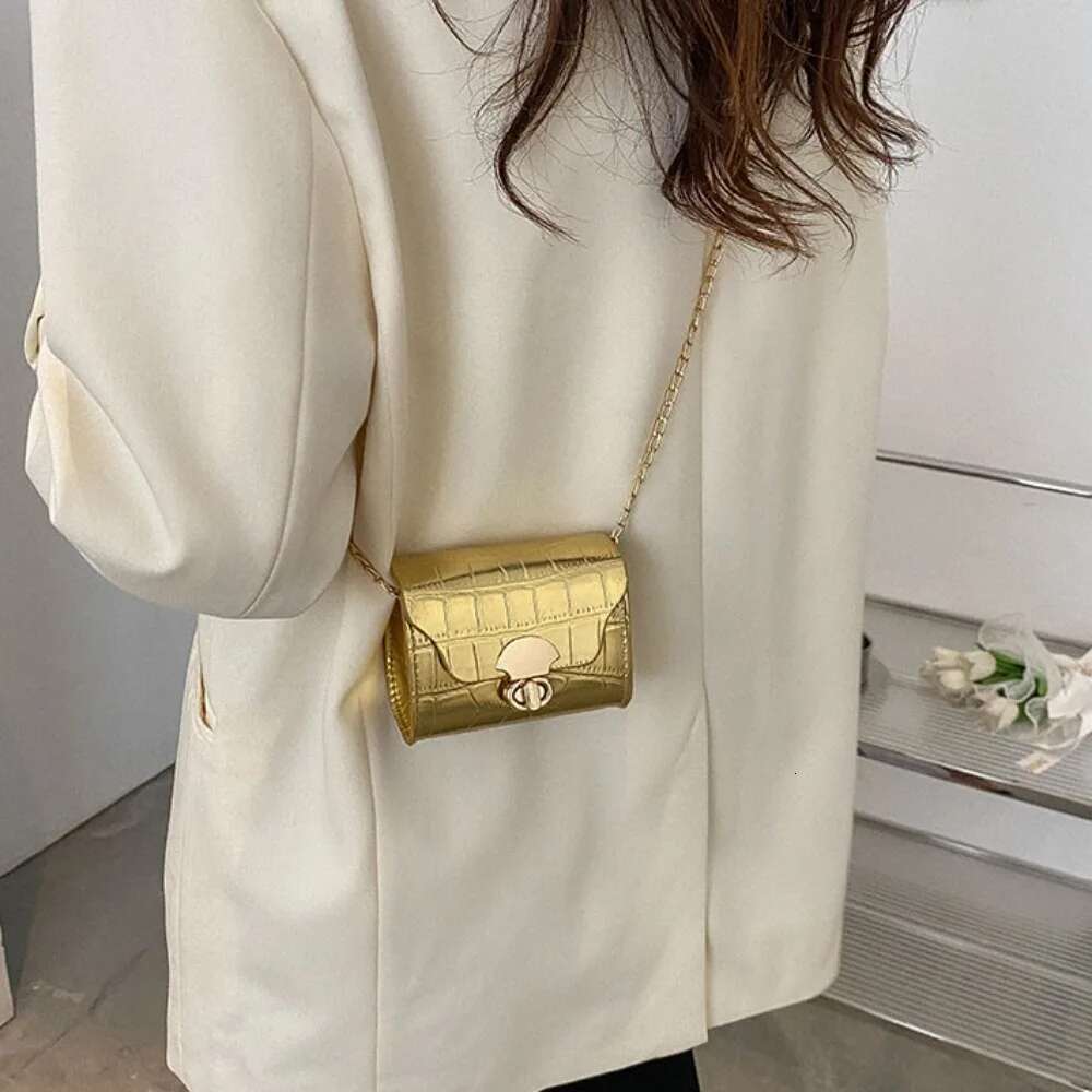 Shoulder Trendy Mini Casual Chain Messenger Daily Commuting Bag Lipstick Coin Purse