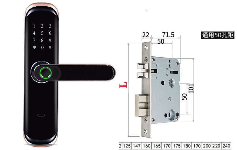 Graffiti WIFI indoor door password fingerprint lock IC card key lock complete specifications.