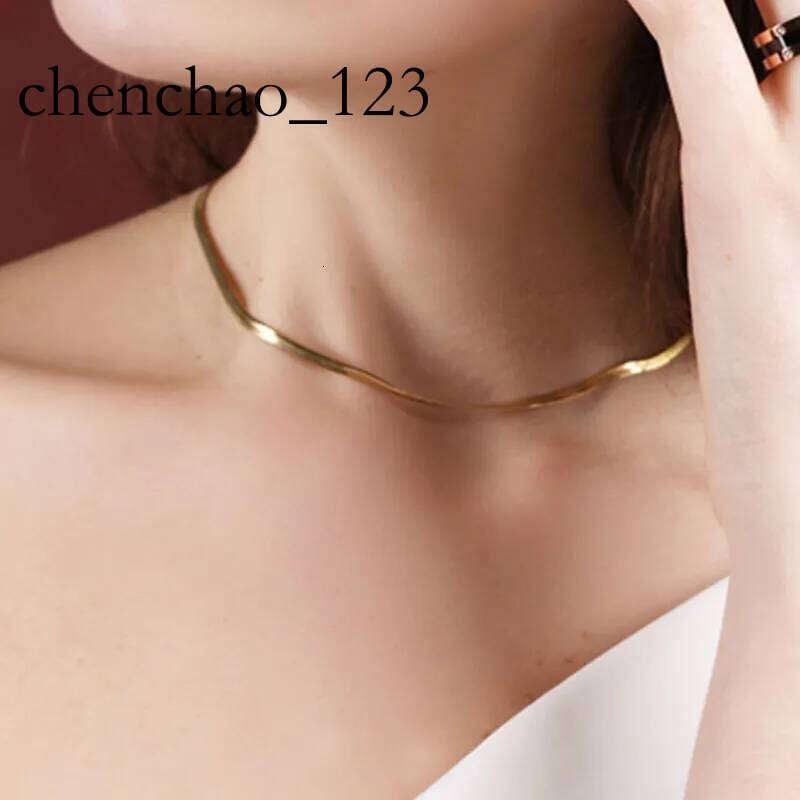 Exquisite Real Gold Sier Plated Choker Necklace Stainless Steel Snake Chain Necklaces For Women Ladies Fine Wedding Jewelry Gift Accessory