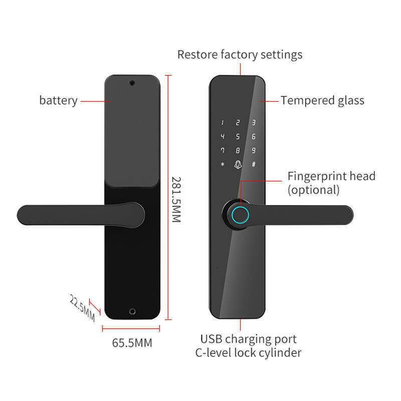 Wooden door lock, fingerprint lock and graffiti smart lock TUYA B&B rental password lock