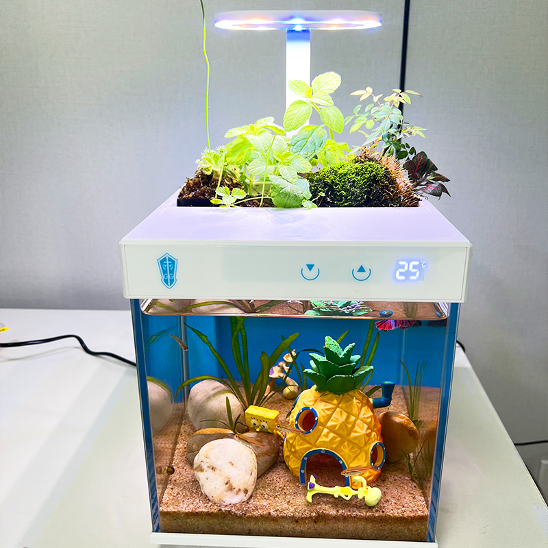 Eco-Friendly Clear Glass Micro Aqua Display Cabinet Fish Tank Aquarium for Office Decor