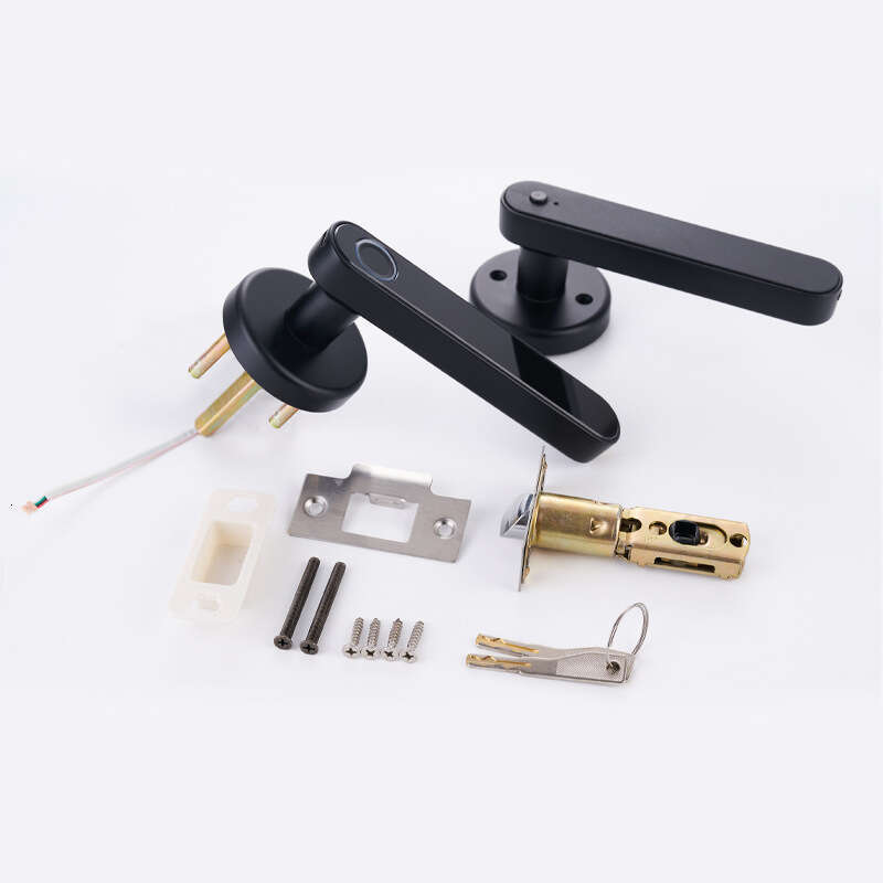Spherical fingerprint lock cross-border smart lock wooden door electronic door lock foreign trade one-grip single tongue graffiti smart lock