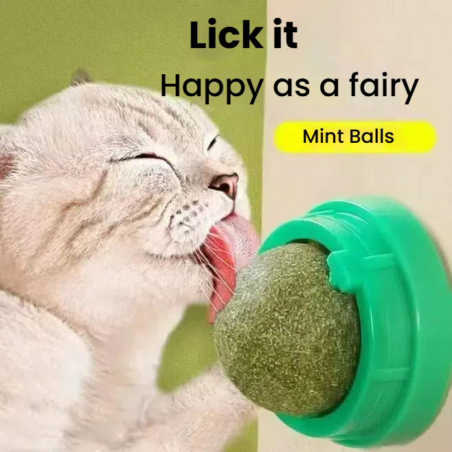 Self-Sticking Catnip Sphere for Lickable Fun & Teeth Cleaning