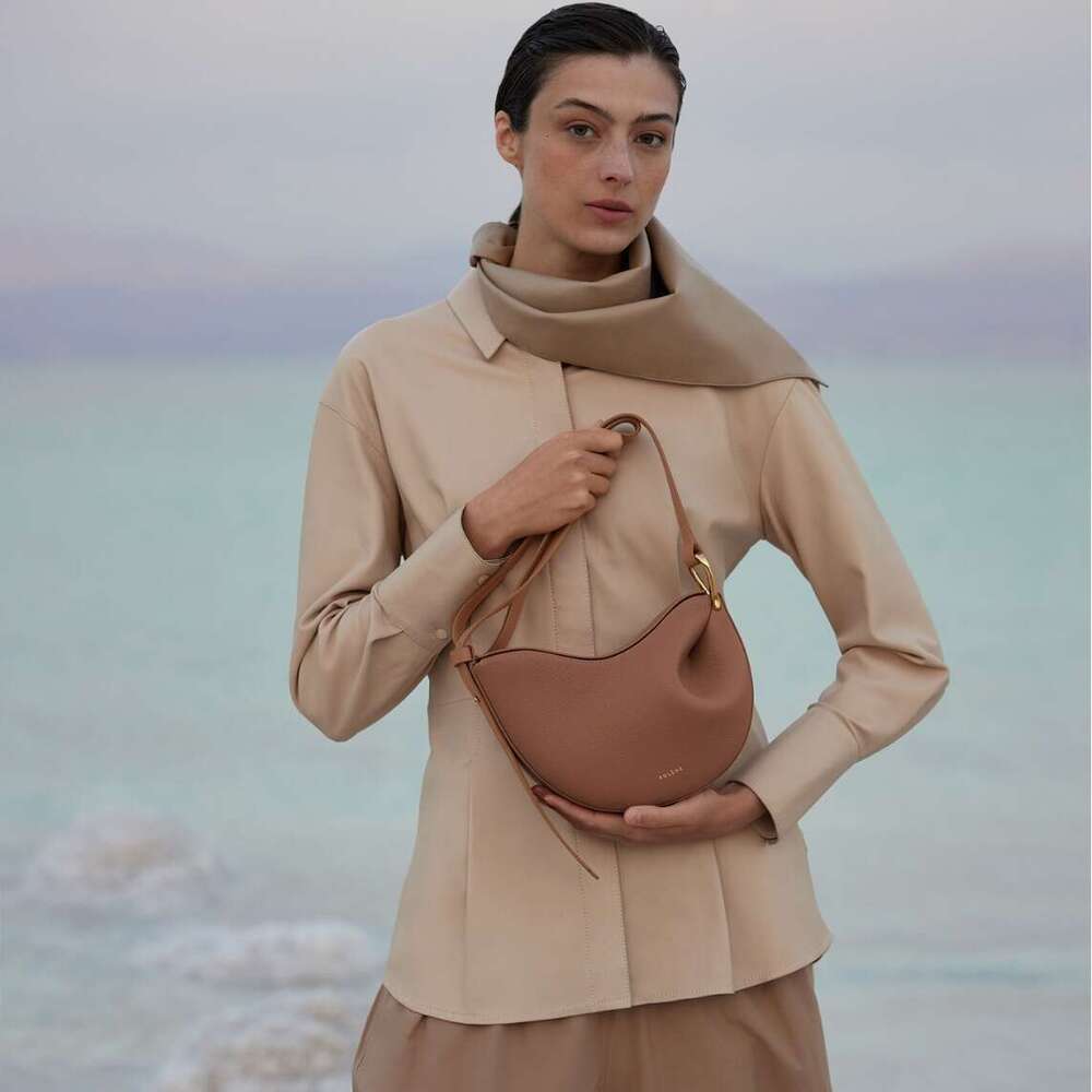 Women's Bags Designer Bag New Light Luxury High-End Gold Buckle Crossbody Single Shoulder Hand-Held Women's Bag