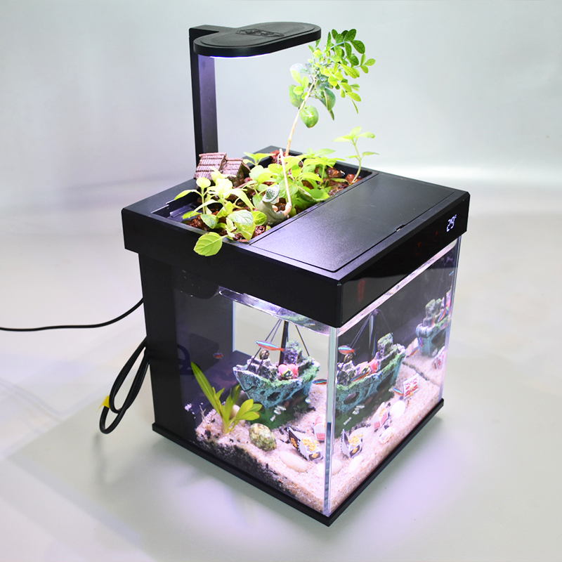 Low-maintenance fish tank aquarium with no water change Features swamp pool for plants built-in filtration compact desktop design