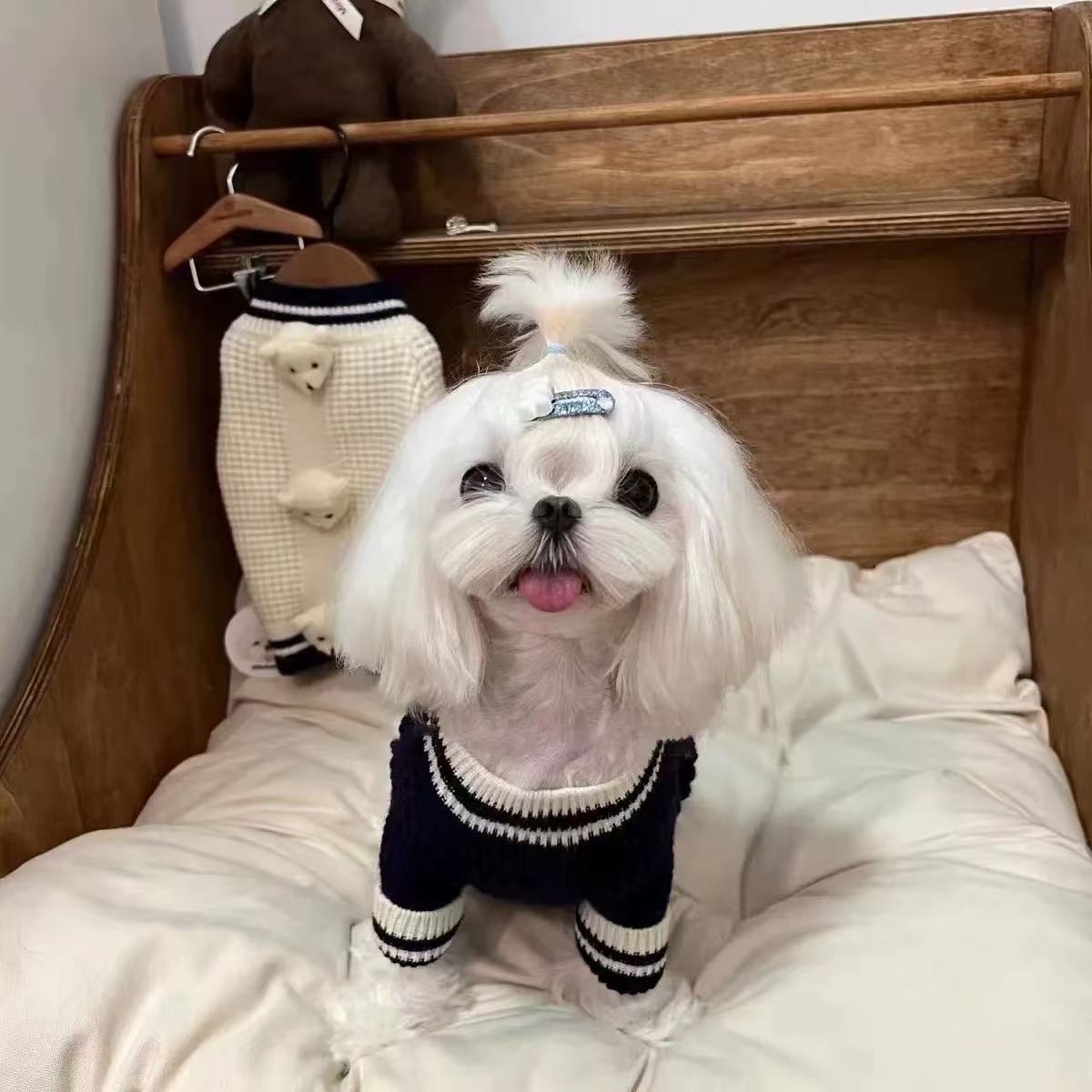 T00204 Pet Sweater Bear Head Cute Soft Cat and Dog Sweater Maltese Yorkshire Shih Tzu Bichon