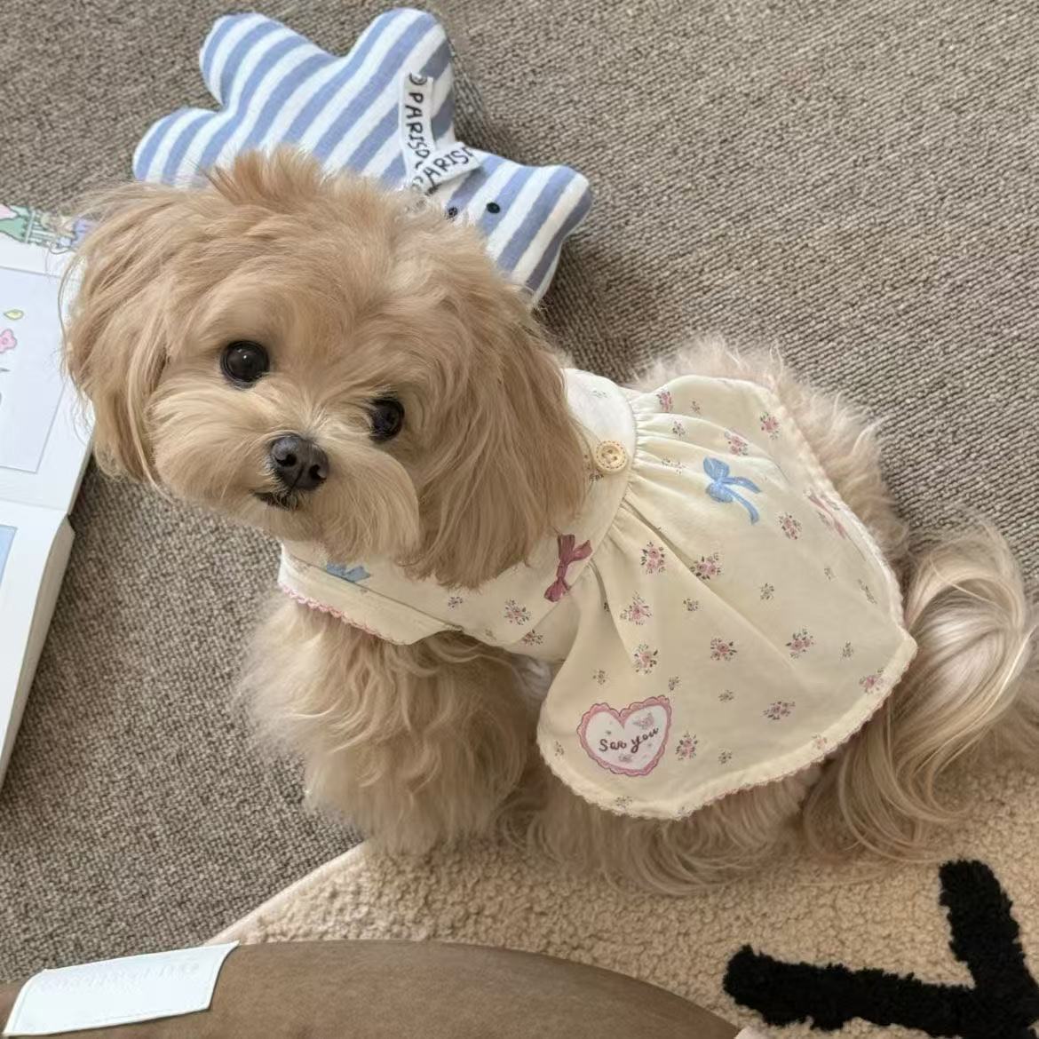 T00214 Pet spring and summer sweet and cute floral vest dress home clothes dog cat anti-hair loss summer small dog clothes