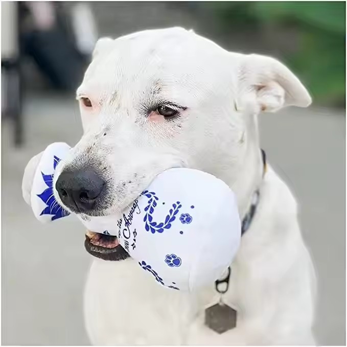 Squeaky Dog Toys Plush Dog Toy with Soft and Highly Elastic Fiberfill Blue White Porcelain Vase Design Stuffed Durable Dog Chew Toys for Small to Larg