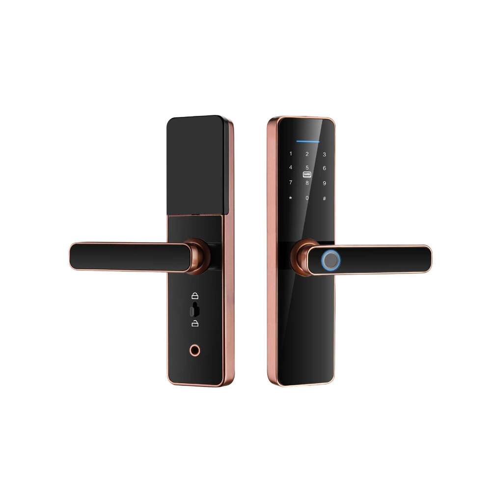 S811 selling graffiti all app remote tuya fingerprint card password key to open the door Wifi smart door lock