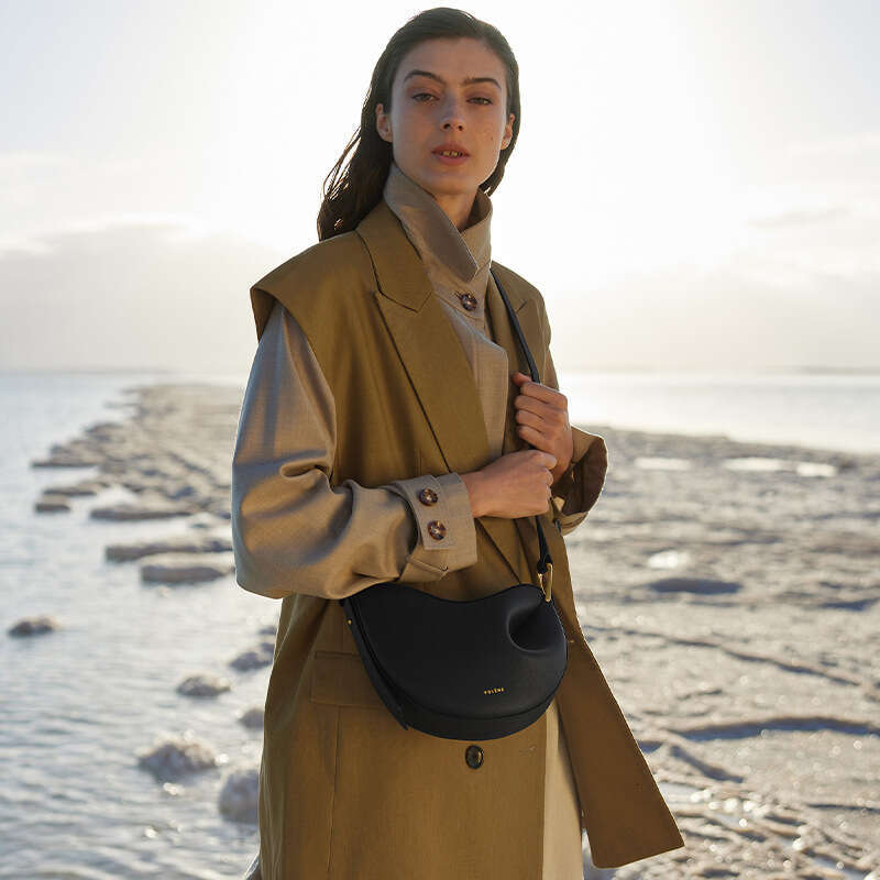 Women's Bags Designer Bag New Light Luxury High-End Gold Buckle Crossbody Single Shoulder Hand-Held Women's Bag