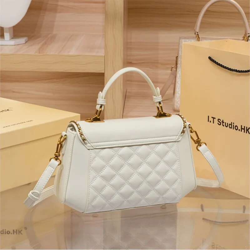 Light Brand Women's Handbag 2025 New Autumn And Winter Designer Dia Grid High-End Texture Crossbody Bag