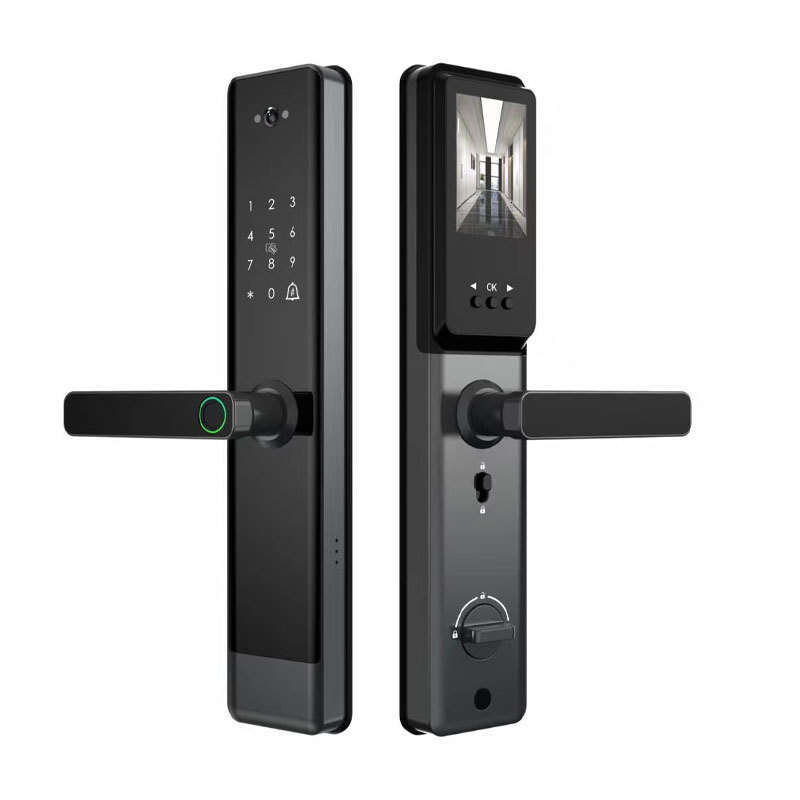 Graffiti fingerprint graffiti cat eye password lock, wooden home anti-theft door, intelligent lock