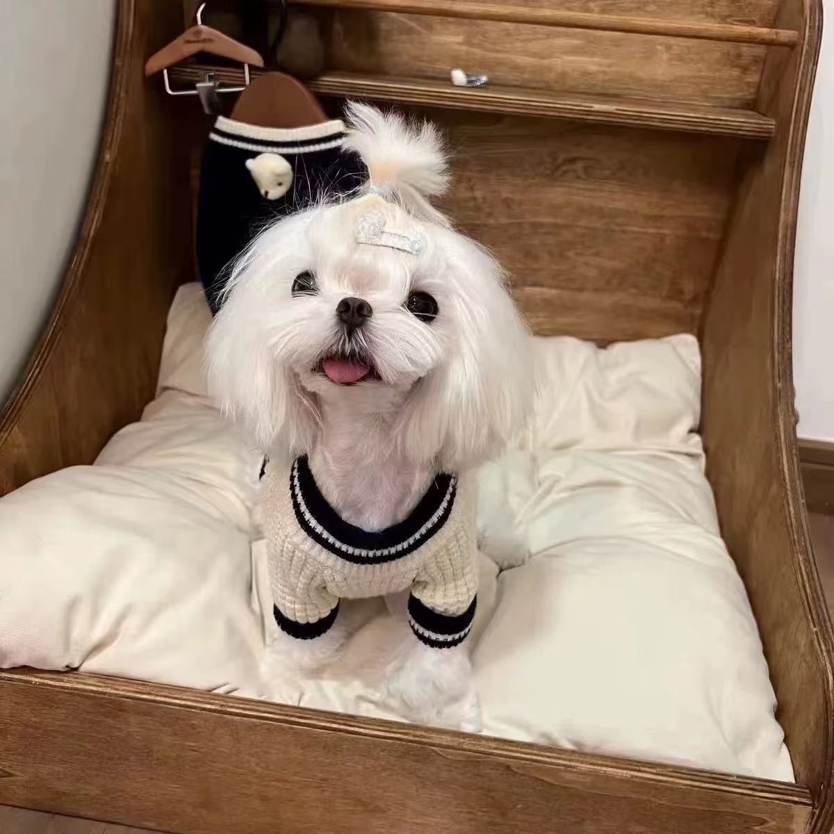 T00204 Pet Sweater Bear Head Cute Soft Cat and Dog Sweater Maltese Yorkshire Shih Tzu Bichon