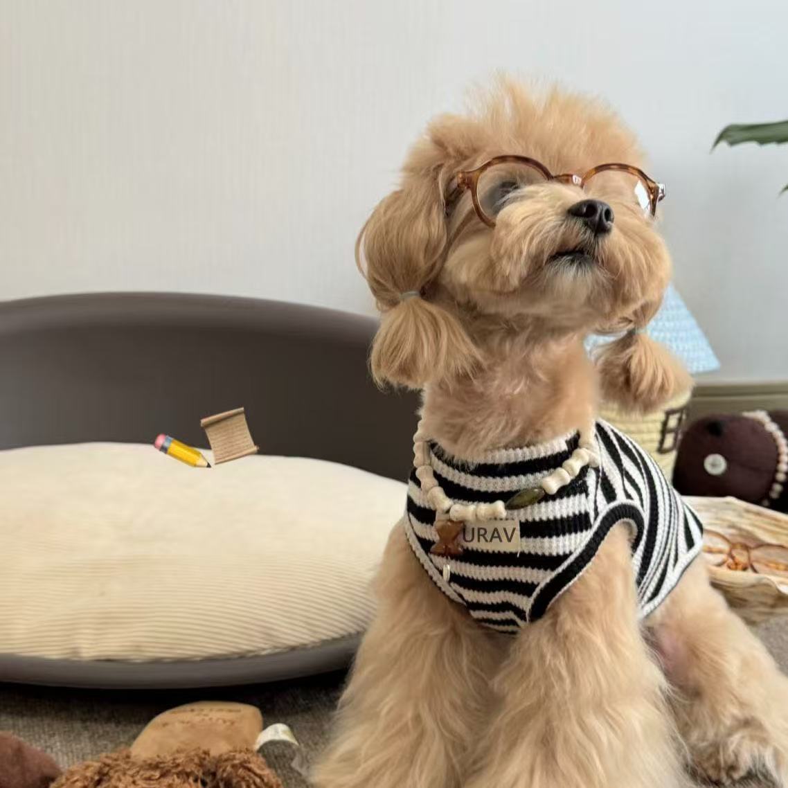 T00209 Pet Clothing Dog Striped Vest Cat Sleeveless Cute Top Teddy Bichon Yorkshire Terrier Anti-shedding Clothes