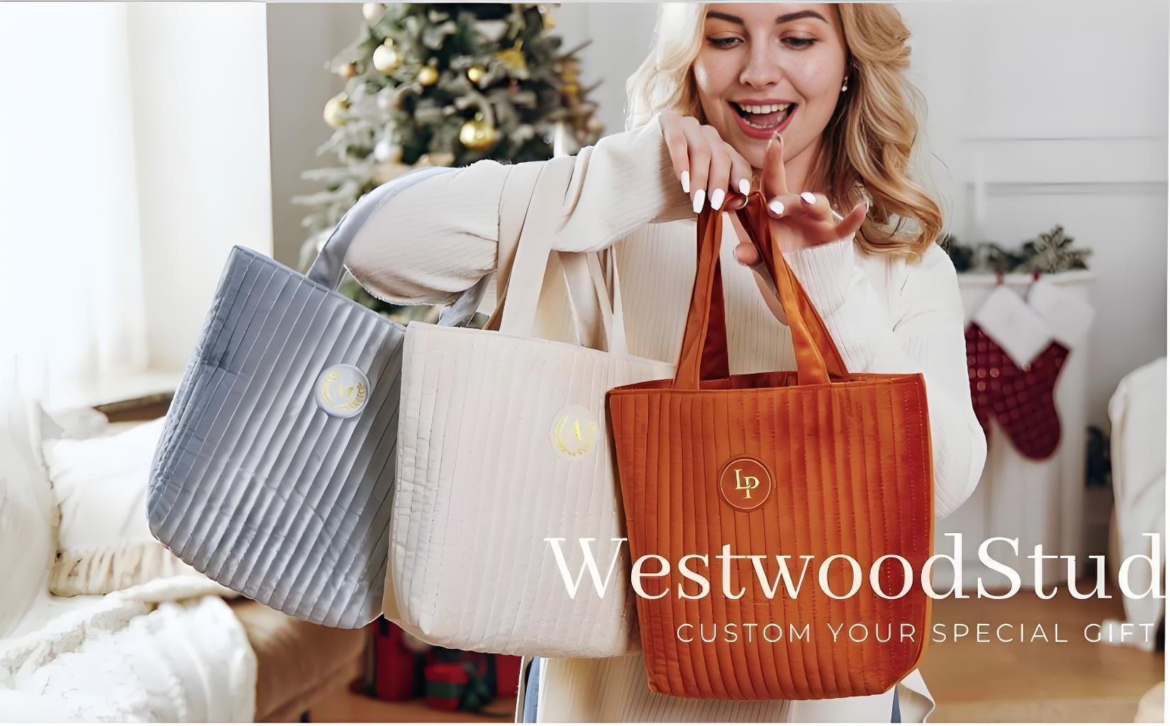 2025S designer makeup for women 2024 autumn new striped handbag casual versatile shoulder crossbody bag