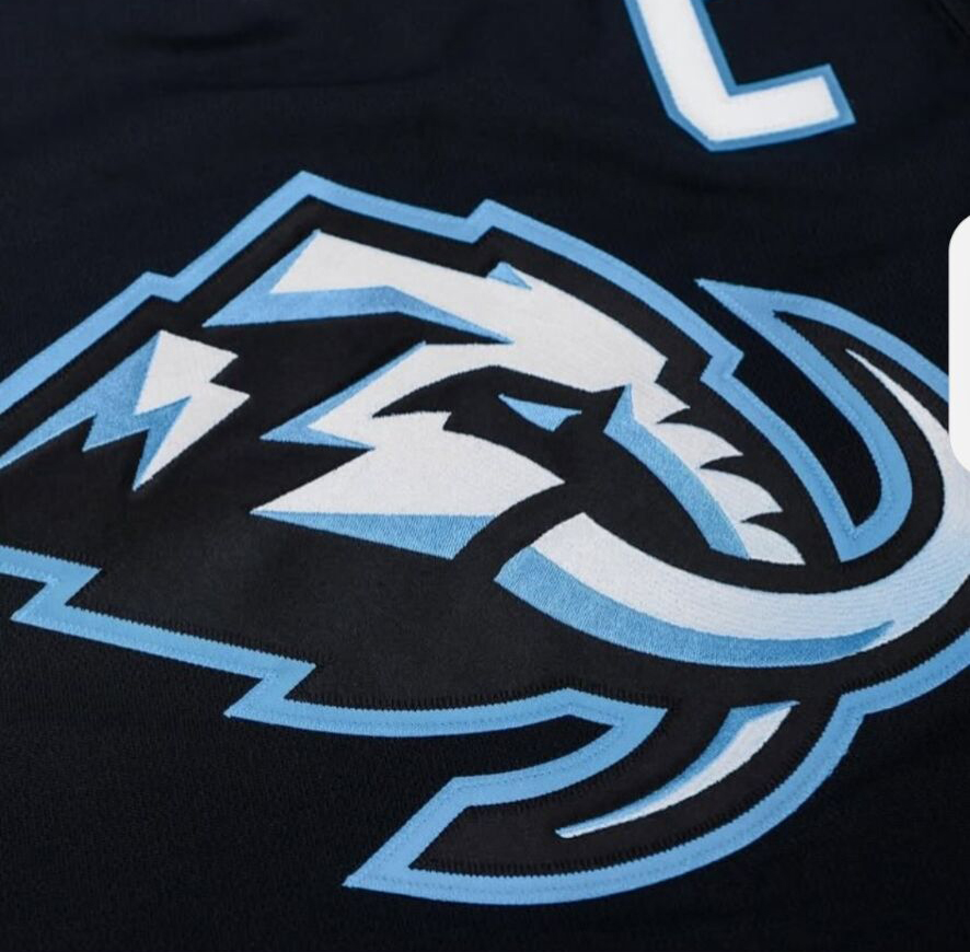 Personalized Custom 2026 Hockey Jersey Clayton Keller Logan Cooley JJ Peterka Barrett Hayton Mikhail Sergachev