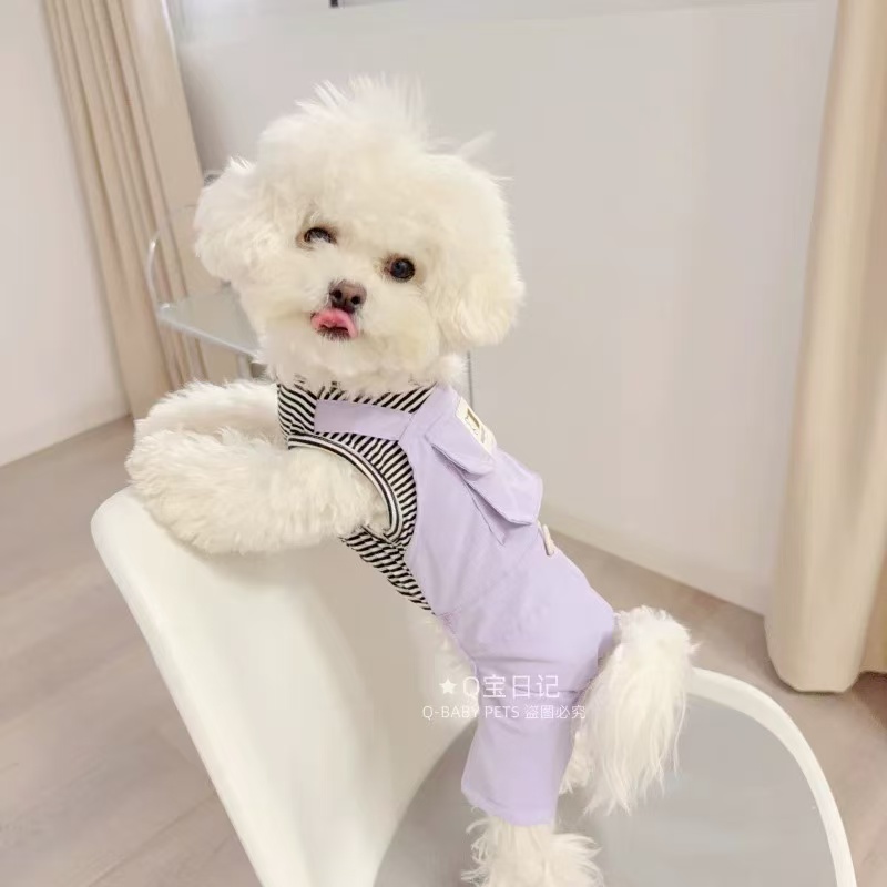 T00221 Can be tied with a leash Couples Four-legged Clothes One-piece Dress Panda Teddy Dog Clothes Spring and Summer Princess Style