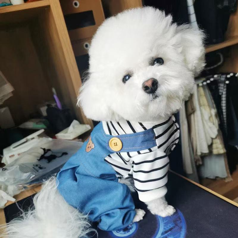 T00219 Pet dog clothes spring and summer clothes can be towed denim clothes summer thin small dog Teddy Bichon Pomeranian vest