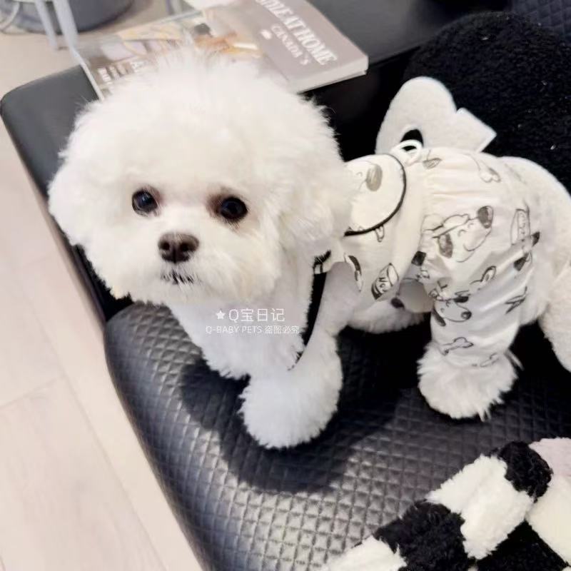 T00222Chic Winter Ready Knit Denim Jacket Ensemble for Small Dogs like Teddies