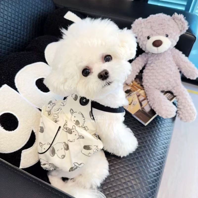 T00222Chic Winter Ready Knit Denim Jacket Ensemble for Small Dogs like Teddies