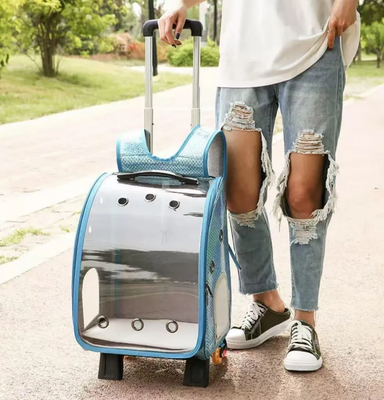 Pet rabbit portable backpack for outdoor activities, dwarf Dodge rabbit, summer carry out special basket, portable small cart cage