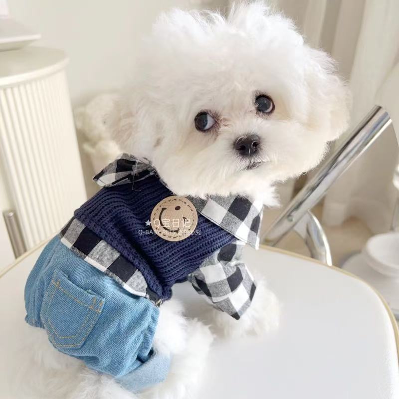 T00223Pet Cat & Puppy Cozy Layered Outfit: Versatile Multi-Seasons Fashionable Garment