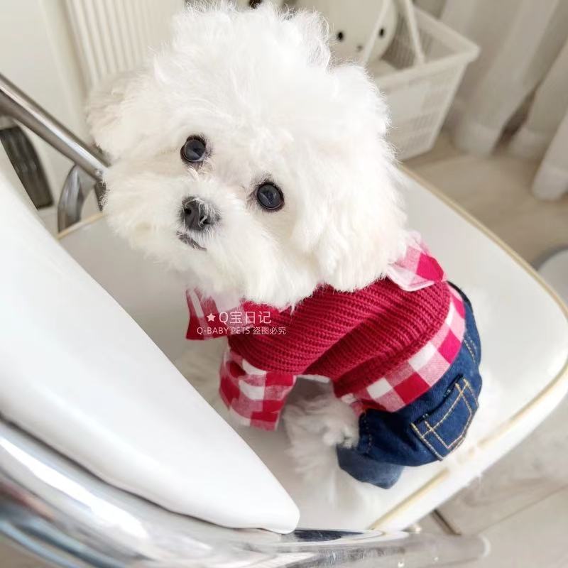 T00223Pet Cat & Puppy Cozy Layered Outfit: Versatile Multi-Seasons Fashionable Garment