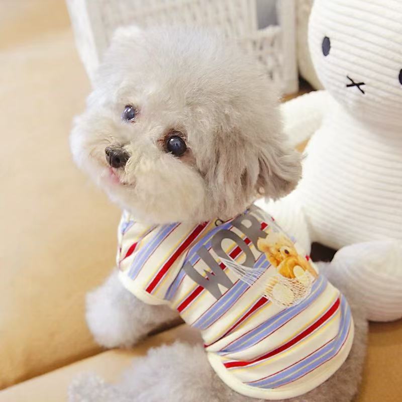 T00225 Dog clothes T-shirt bottoming Polo shirt lapel pet clothing Bichon Teddy puppy poodle cat spring ins