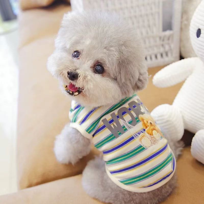 T00225 Dog clothes T-shirt bottoming Polo shirt lapel pet clothing Bichon Teddy puppy poodle cat spring ins