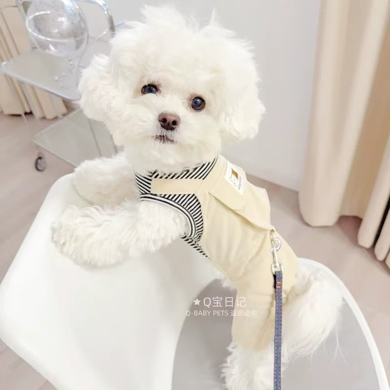 T00221 Can be tied with a leash Couples Four-legged Clothes One-piece Dress Panda Teddy Dog Clothes Spring and Summer Princess Style