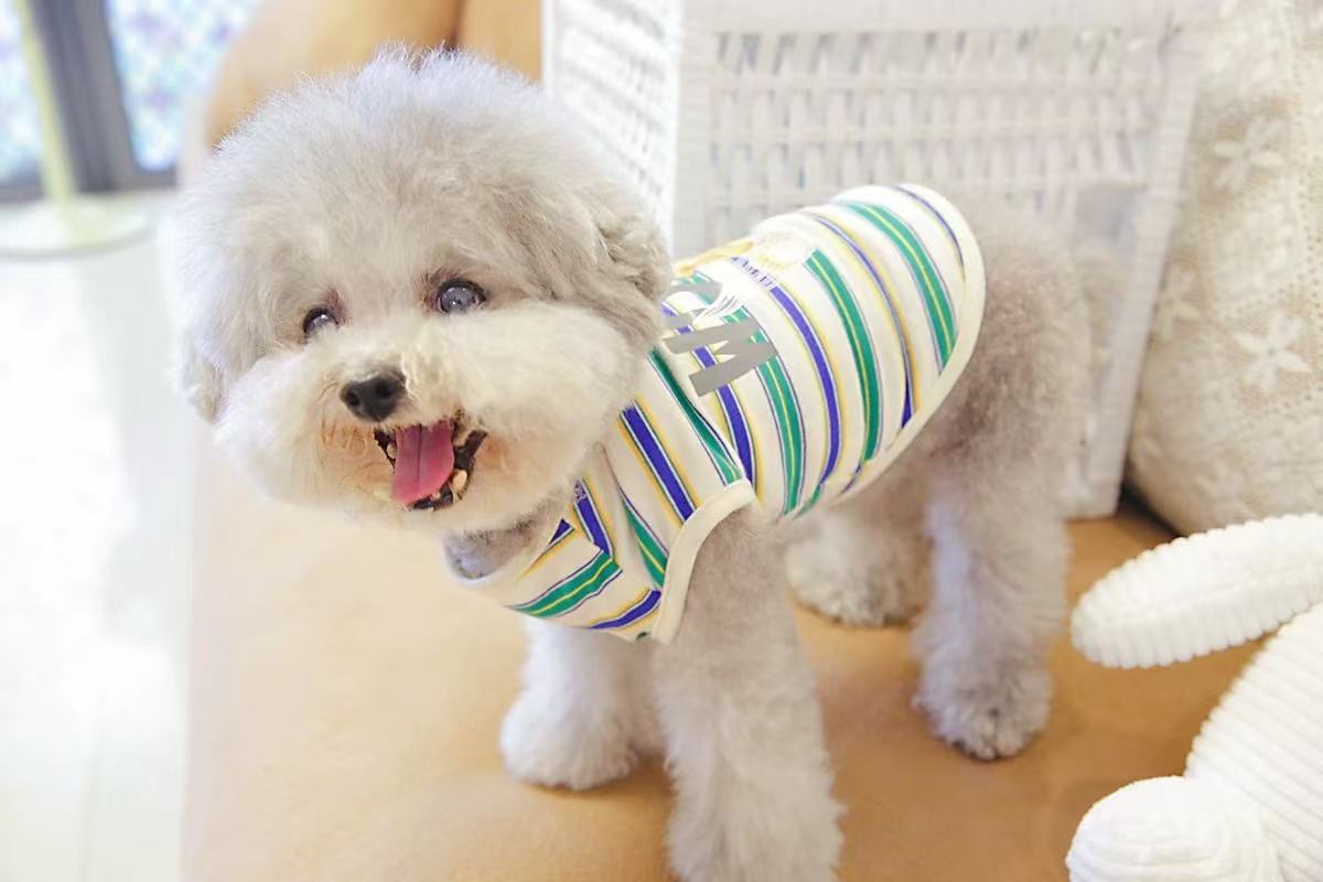T00225 Dog clothes T-shirt bottoming Polo shirt lapel pet clothing Bichon Teddy puppy poodle cat spring ins