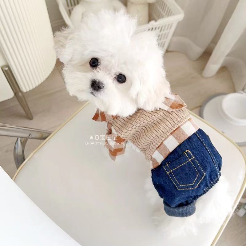 T00223Pet Cat & Puppy Cozy Layered Outfit: Versatile Multi-Seasons Fashionable Garment