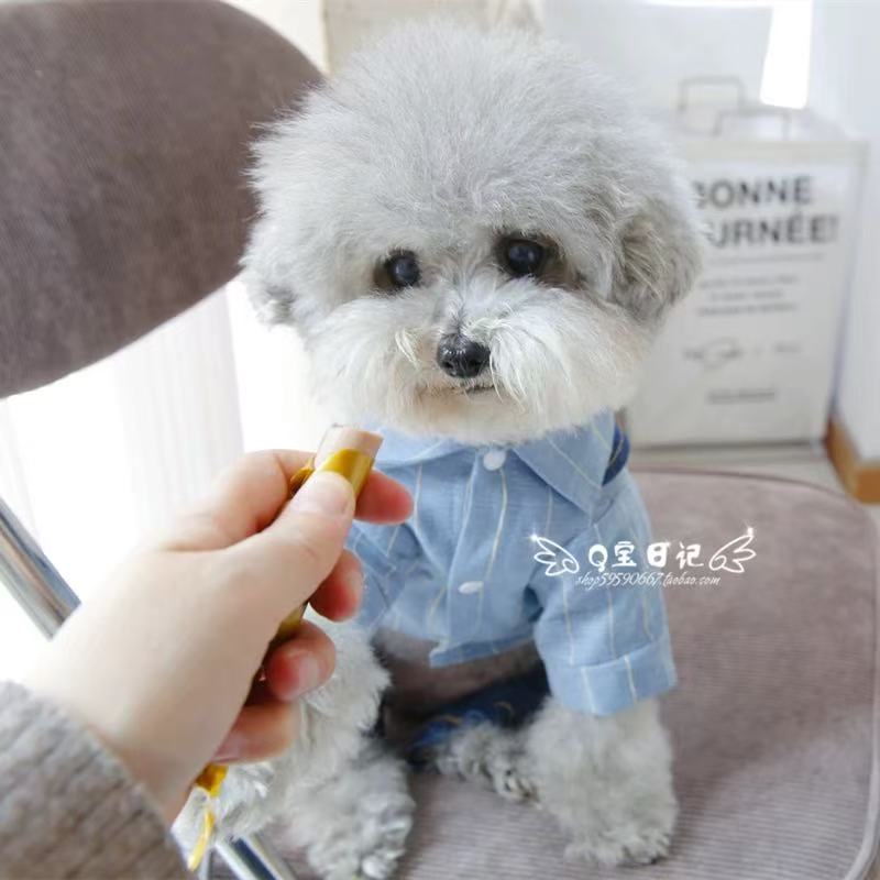 T00227 Dog clothes summer thin Teddy Bichon Pomeranian small dog pet cat summer uniform vest