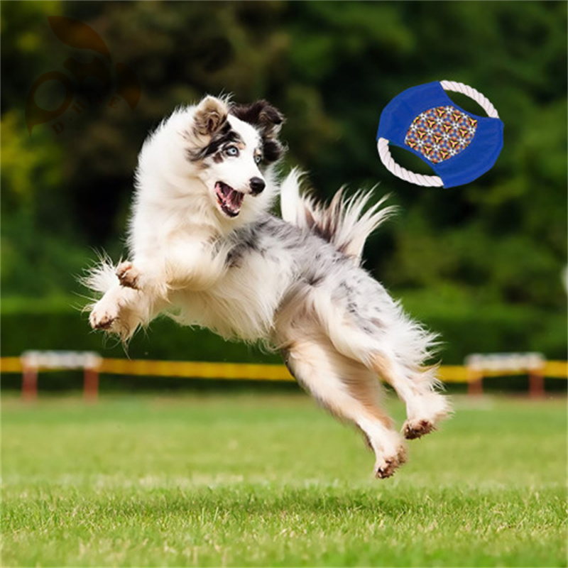 Cotton rope frisbee dog toy training outdoors