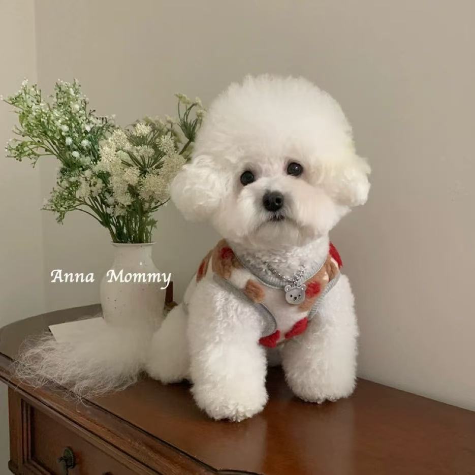 T00232 Dog clothes leash spring and summer pet puppy Bichon Maltese Yorkshire lace flying sleeve princess skirt