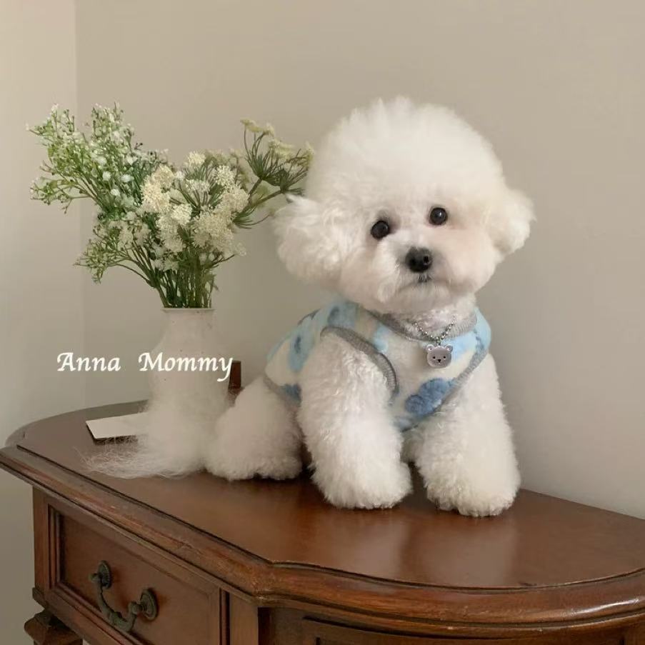 T00232 Dog clothes leash spring and summer pet puppy Bichon Maltese Yorkshire lace flying sleeve princess skirt