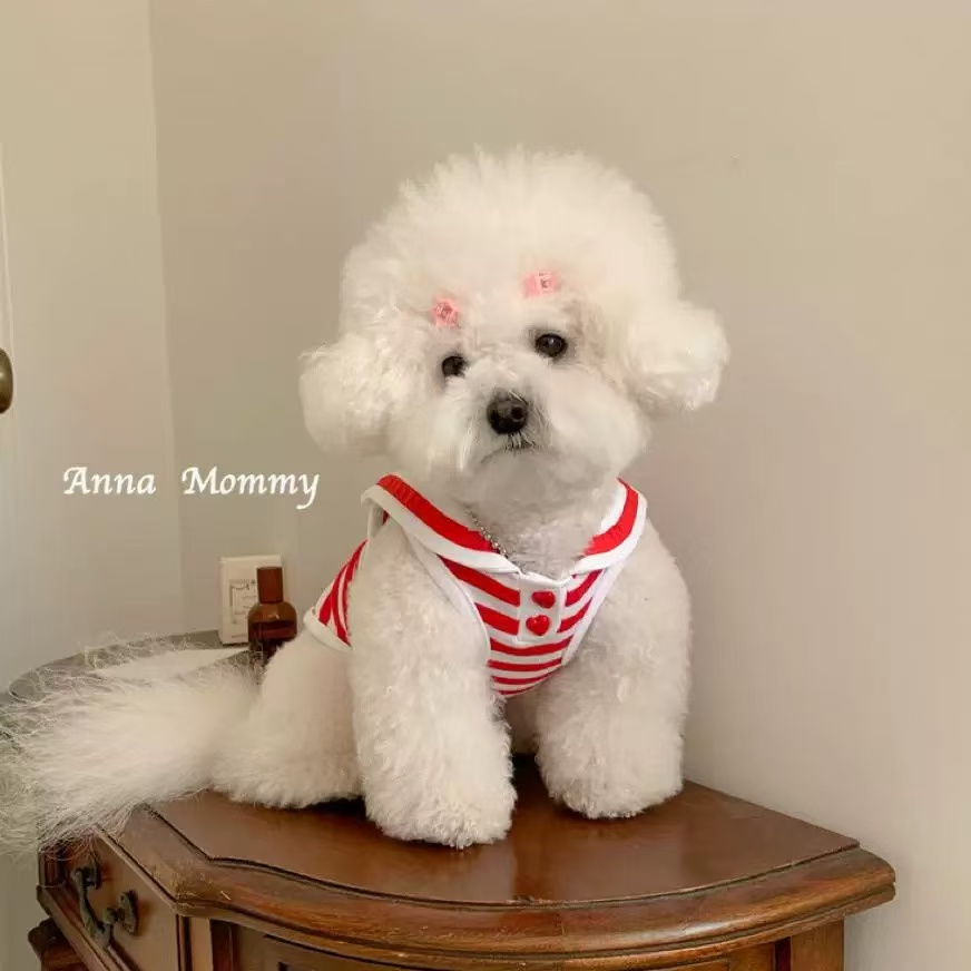 T00231 Pet clothing dog clothes spring and summer suspender dress cute Bichon Teddy Pomeranian small dog cat puppy