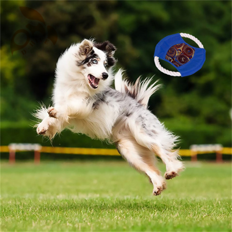 Cotton rope frisbee dog toy training outdoors hot sale