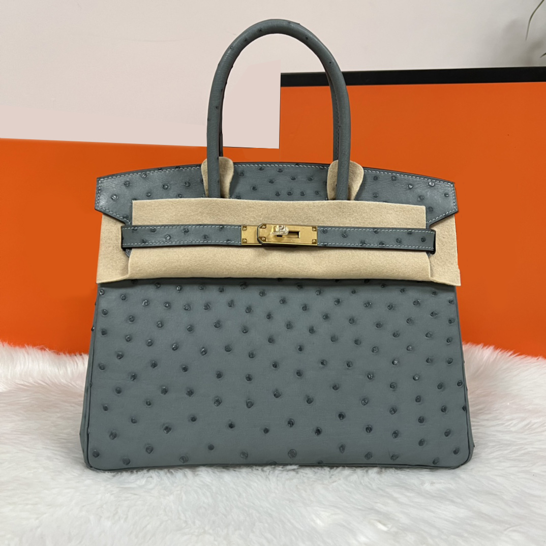 Exotic Ostrich-Skin Handbag - Chic Women's Fashion Hand-Held Bag for Commuting and Everyday