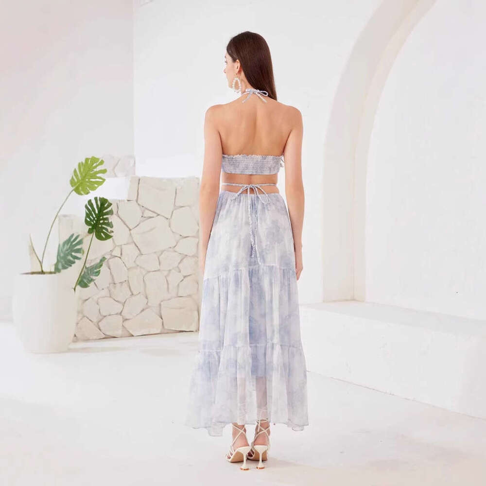 Maxi Dress Domestic Spring Summer New Style Hanging Neck Printed Backless Niche Design Dress KQ