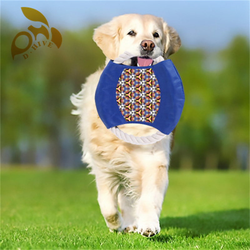 Cotton rope frisbee dog toy training outdoors