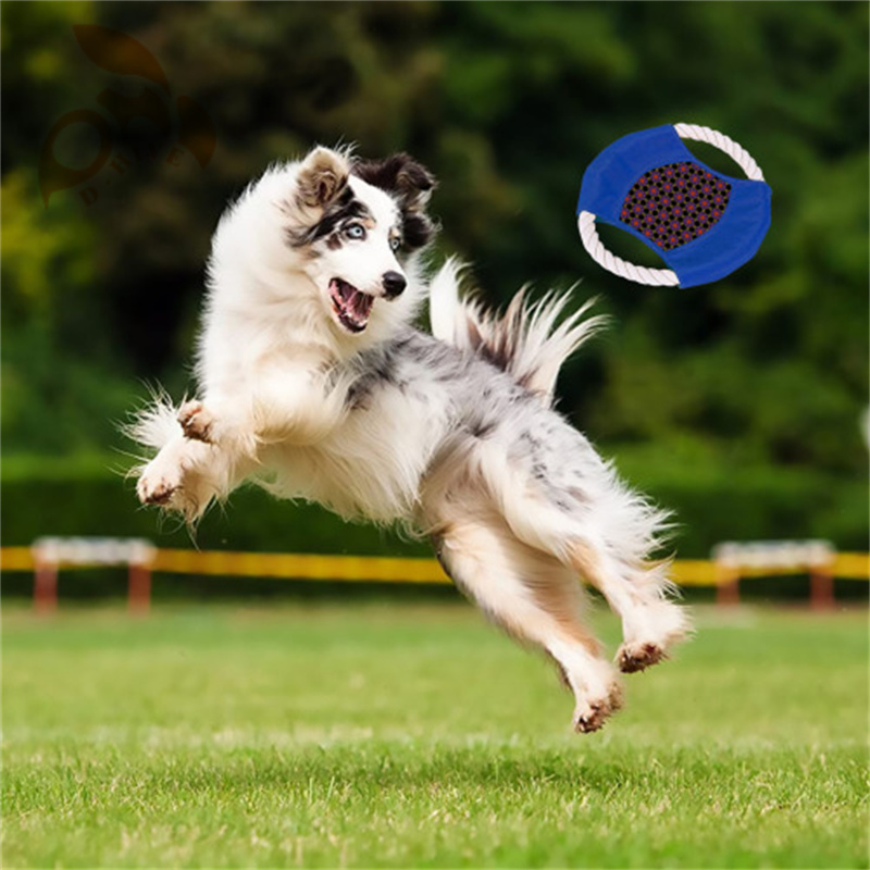 classic Cotton rope frisbee dog toy training outdoors