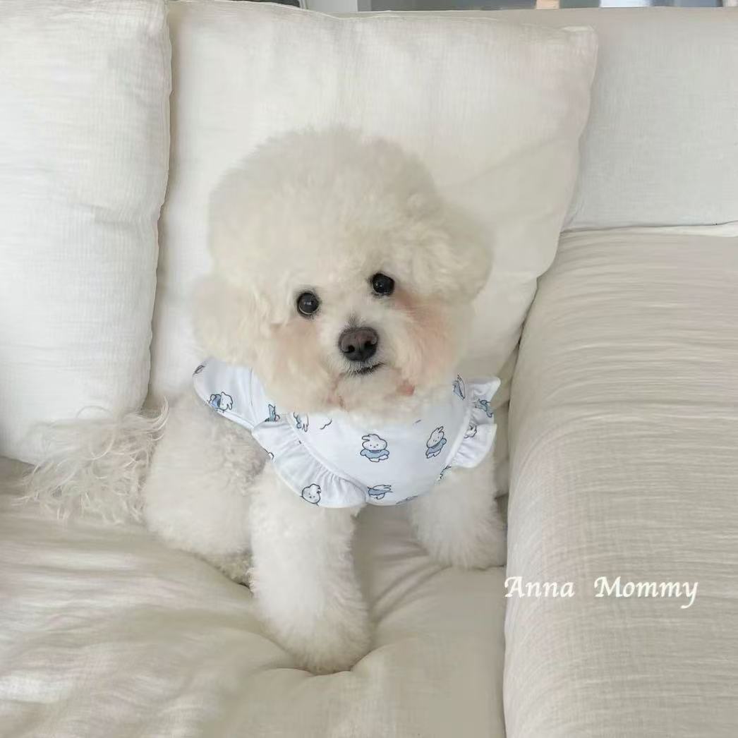 T00239 Teddy skirt puppy summer clothes pet small puppy Bichon Pomeranian Yorkshire cat spring and summer thin